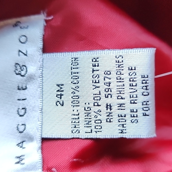 NWT 24 mos Grey Velvet Dress with Hat - Picture 10 of 16